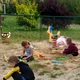 miniatura do wstępu artykułu