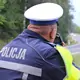 miniatura do wstępu artykułu